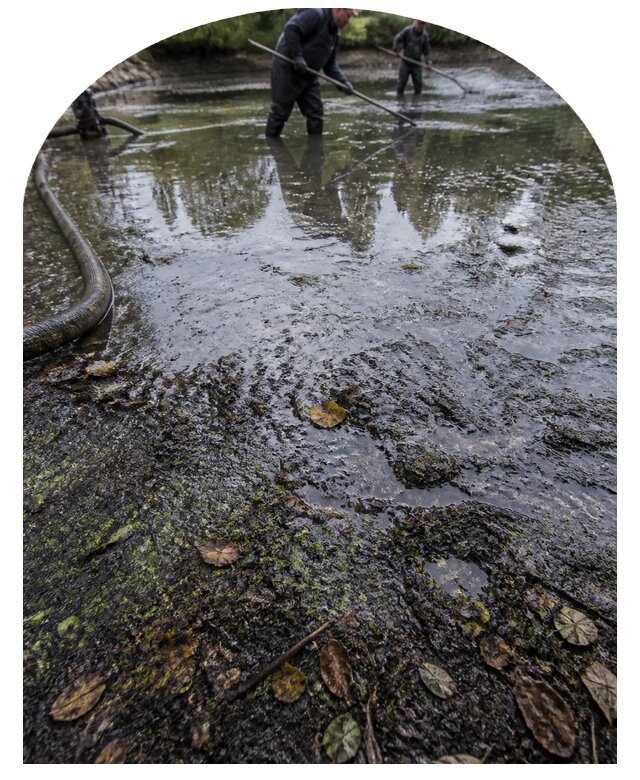 Очистка пруда в Ставрополе от ила мусора и водорослей с вывозом